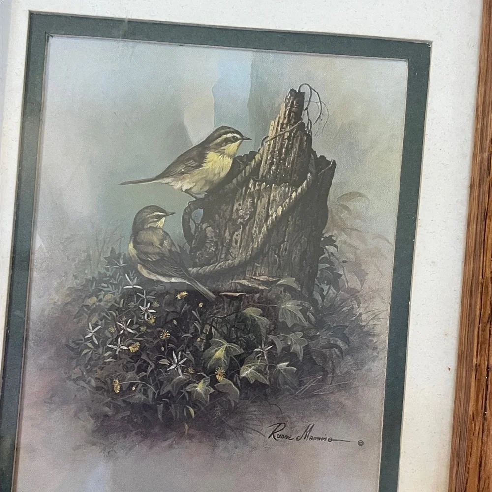 Framed Bird Print in Wood Frame - Brown Frame, White Mat